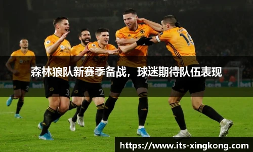 森林狼队新赛季备战,球迷期待队伍表现