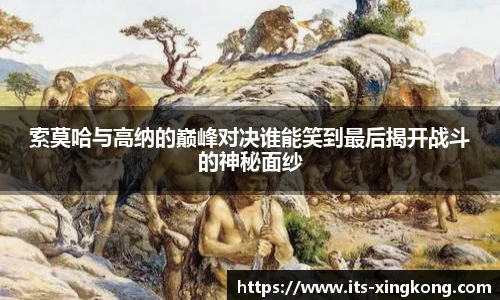 星空体育官方网站