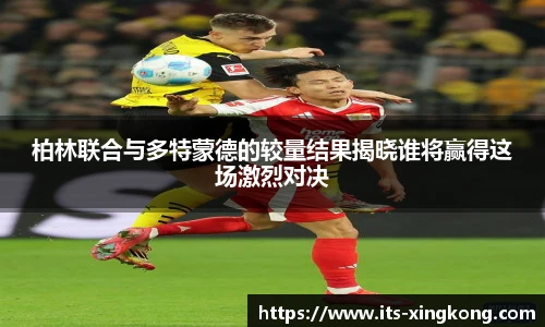 星空体育官网
